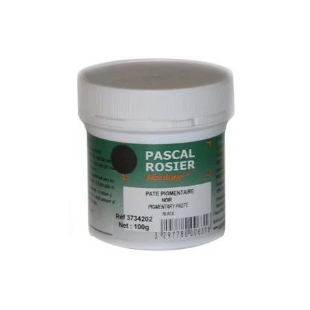 Pigment noir 100g