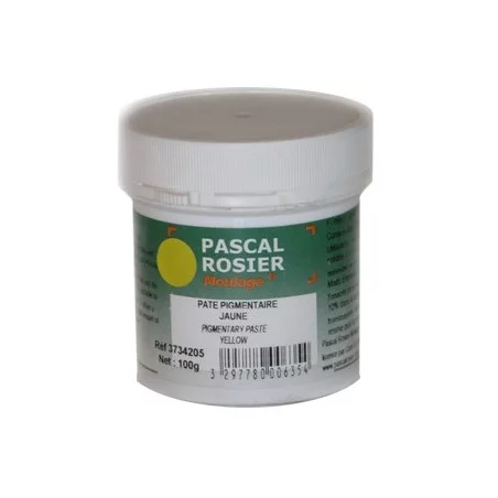 Pigment jaune 100g