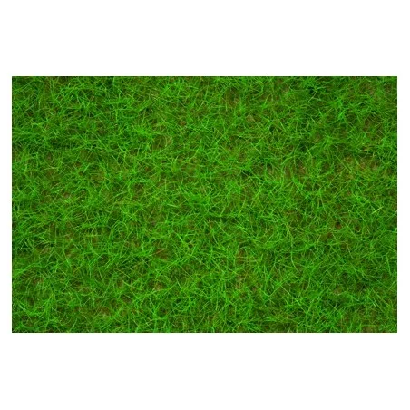 Herbe de champs, vert clair