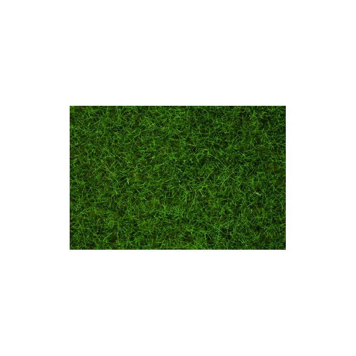 Herbes Sauvages Vert Clair. 6 mm, 50 g