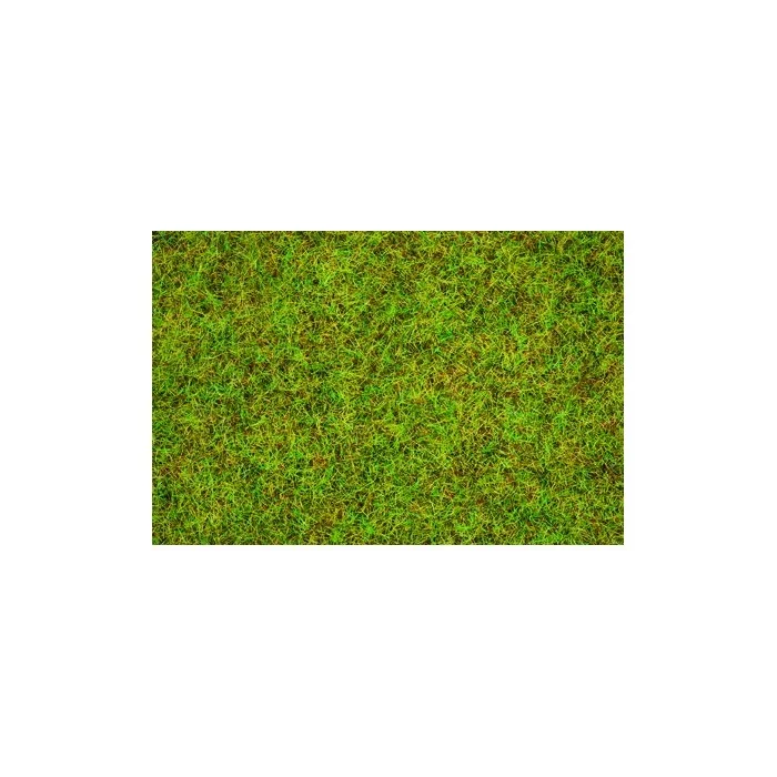 Streugras hellgrün. 2.5 mm,...