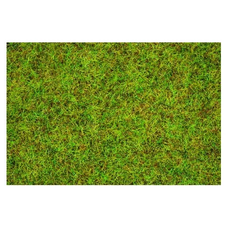 Streugras hellgrün. 2.5 mm, 20 g