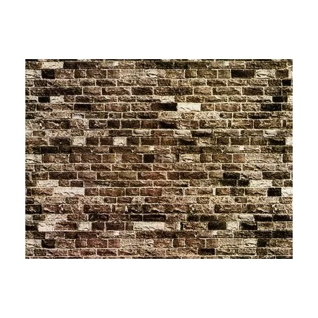 H0, TT : Mauerplatte Basalt