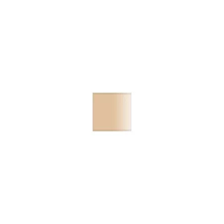 Beige Radome (FS 33613)