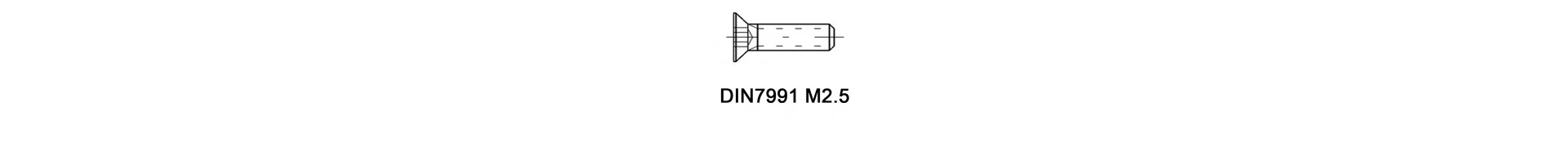 DIN7991 M2.5